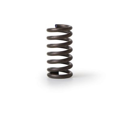 Fiorenzato Grind Adjustment Collar Spring - Coffee Addicts Canada