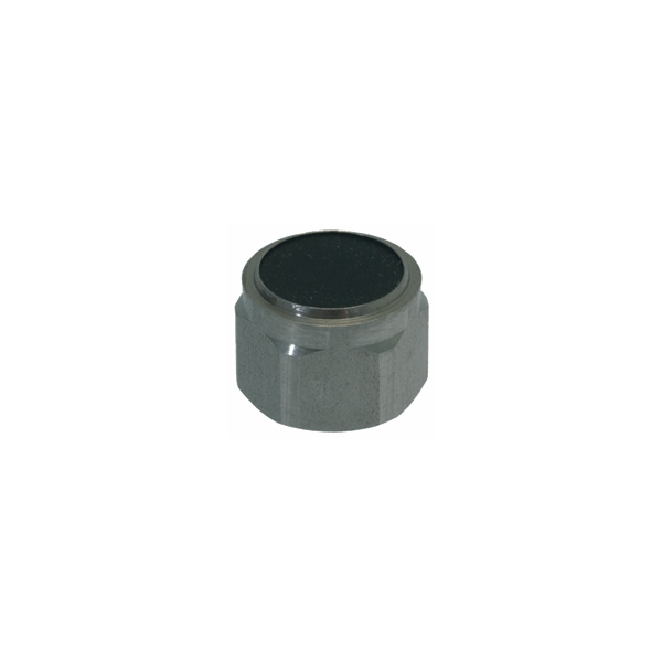 Rancilio Steam/Water Valve Piston with Gasket - Coffee Addicts Canada