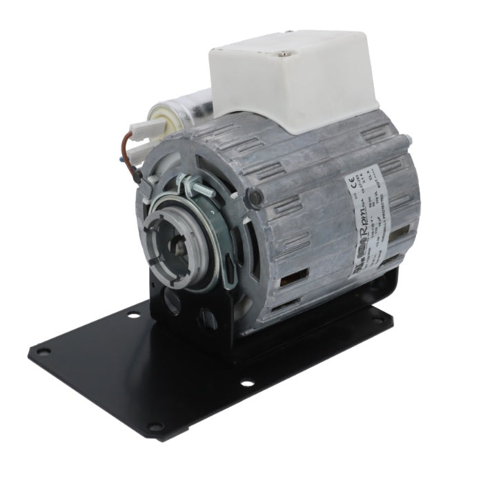 Rotary Vane Pump Motor - Standard 110V Motor - Coffee Addicts Canada